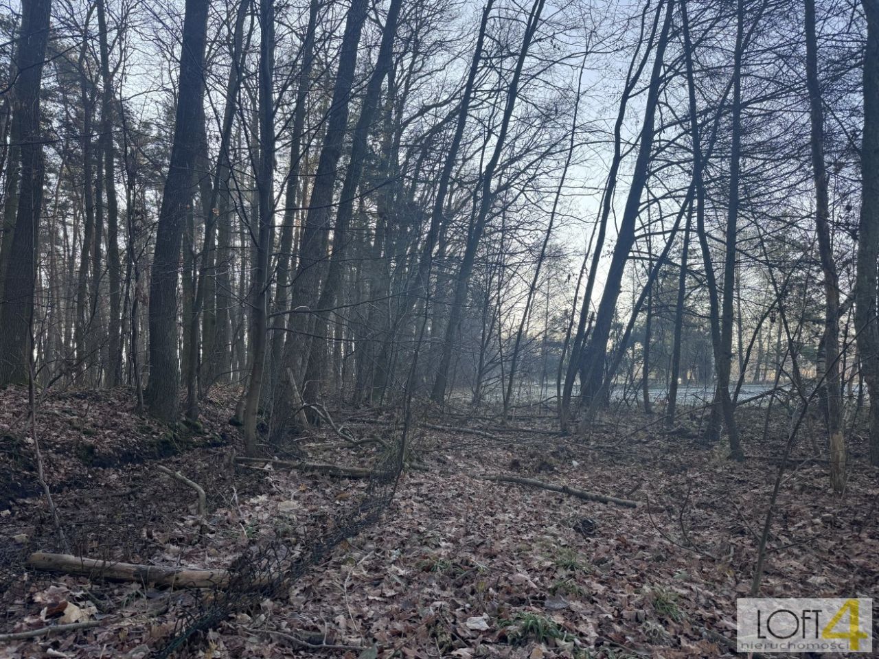 Działka budowlana Waryś. Zdjęcie 8