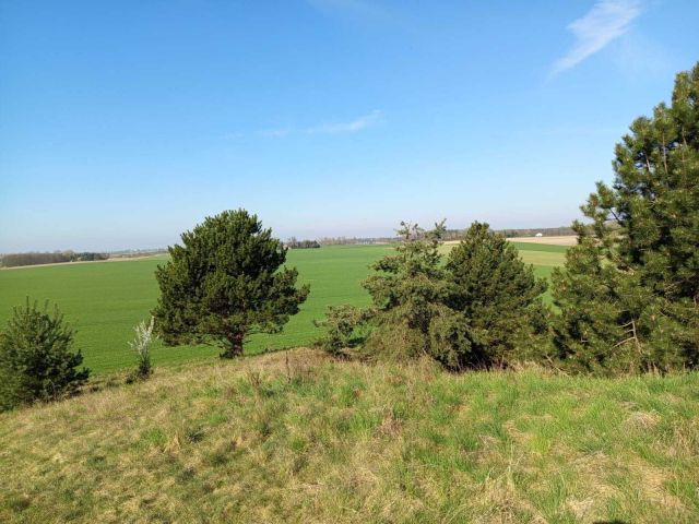 Działka budowlana Waliszewo. Zdjęcie 1