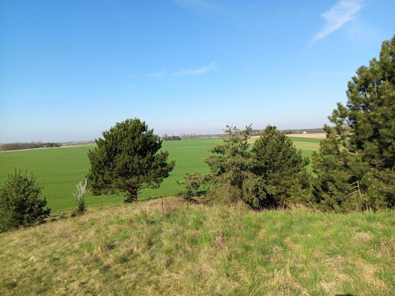 Działka budowlana Waliszewo. Zdjęcie 1