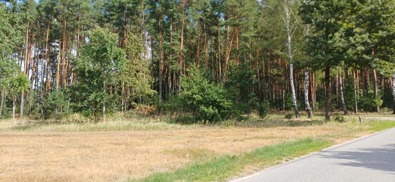 Działka budowlana Szklarka Myślniewska. Zdjęcie 5