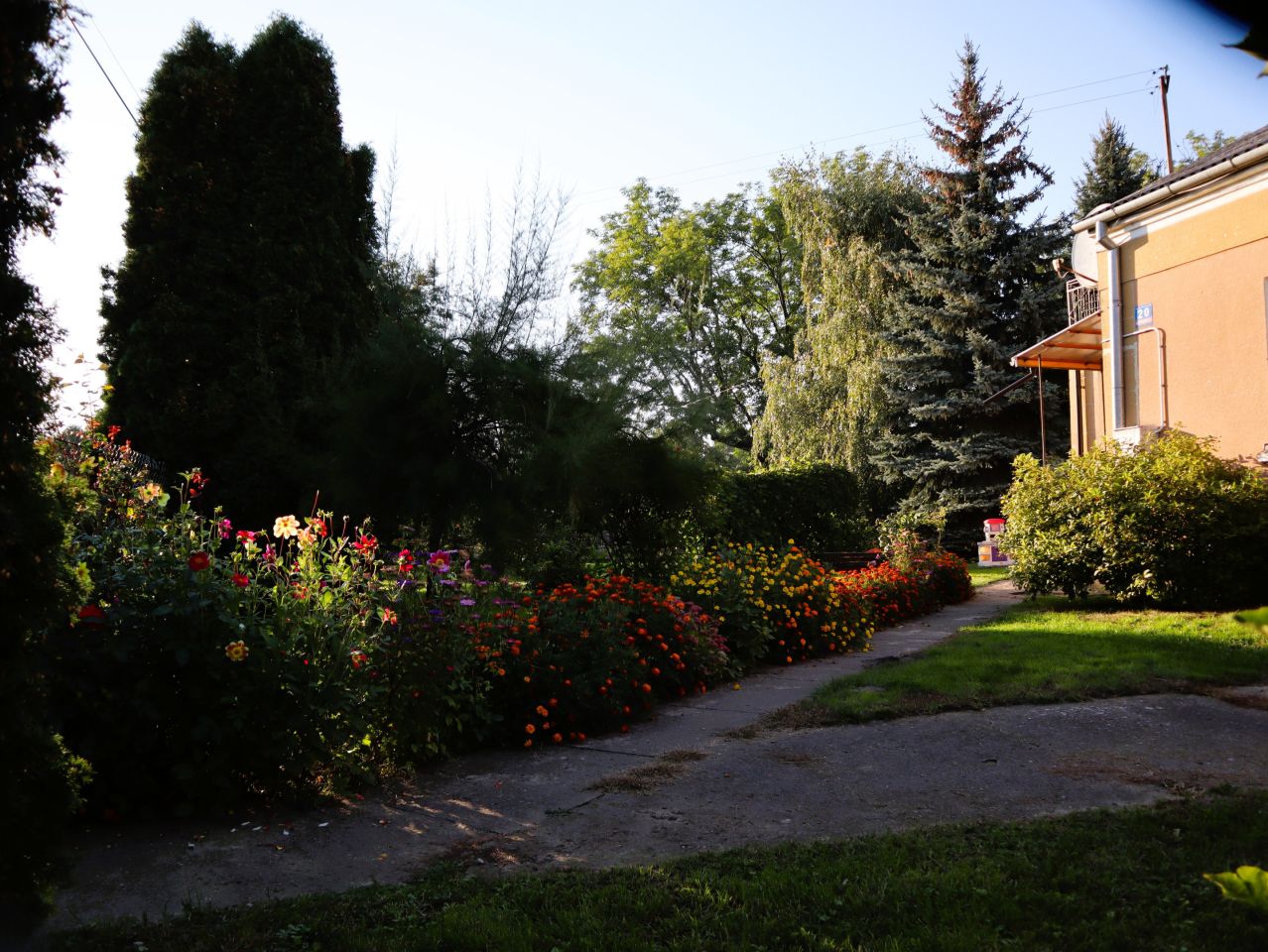 dom wolnostojący, 5 pokoi Sterdyń Sterdyń Poduchowna, ul. Spółdzielcza. Zdjęcie 5