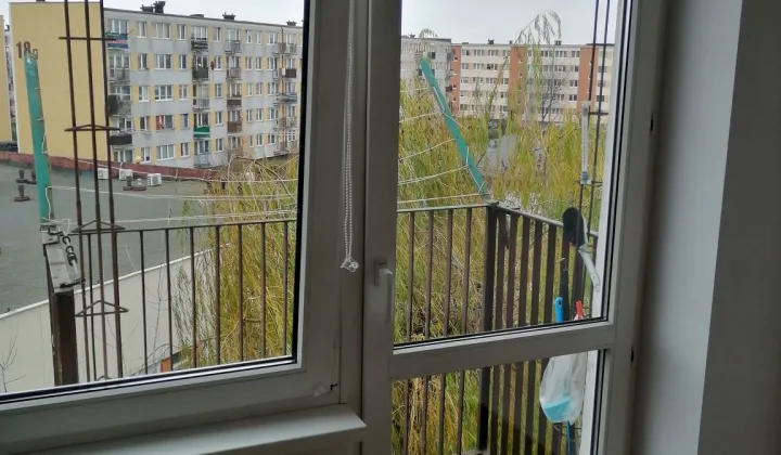 Mieszkanie 3-pokojowe Koło, ul. Piotra Wojciechowskiego