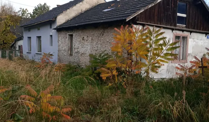 Działka rolno-budowlana Mysłów, ul. Leśna