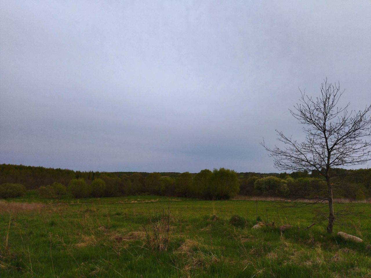 Działka budowlana Lesiska. Zdjęcie 3