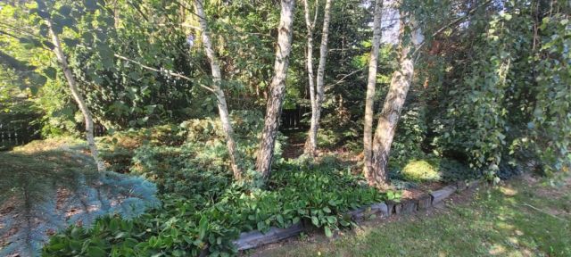 dom wolnostojący, 6 pokoi Złotokłos. Zdjęcie 31