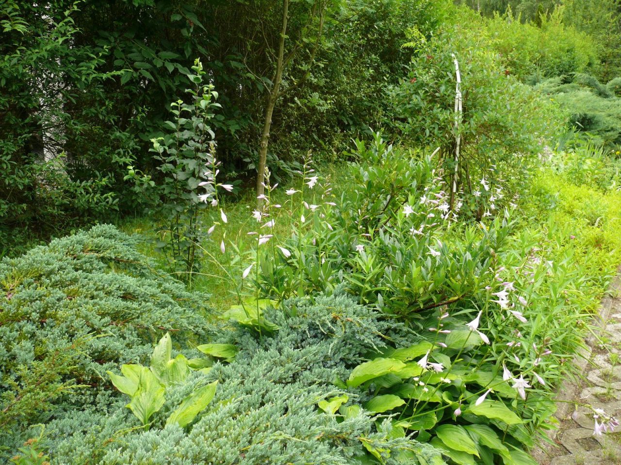 dom wolnostojący, 5 pokoi Długa Szlachecka, ul. Jana Matejki. Zdjęcie 14