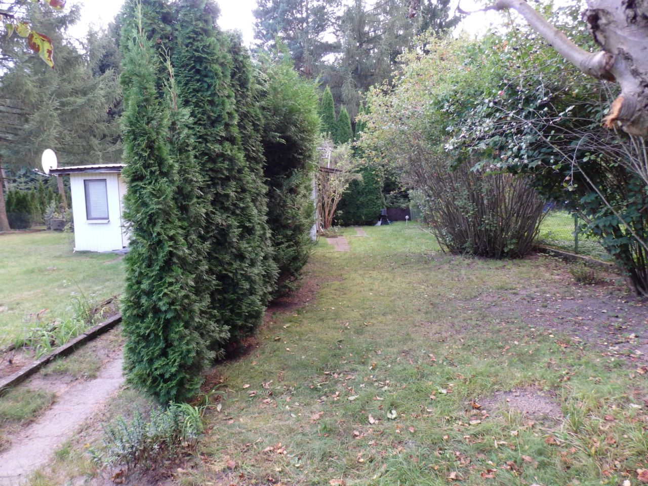 Działka rod Jedlicze A. Zdjęcie 3