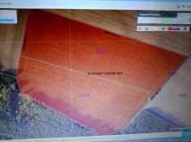 Działka rolna Orzełek. Zdjęcie 1