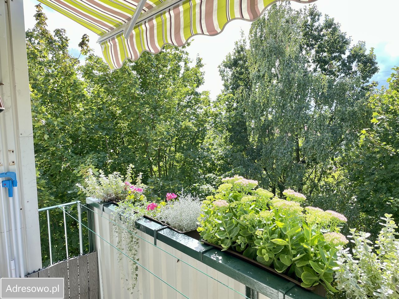 Mieszkanie 3-pokojowe Częstochowa Tysiąclecie, ul. Kwiatkowskiego. Zdjęcie 6