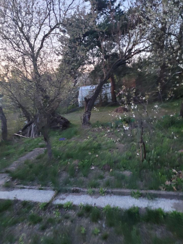 Działka rod Ostrowiec Świętokrzyski Henryków, ul. Grabowiecka. Zdjęcie 4