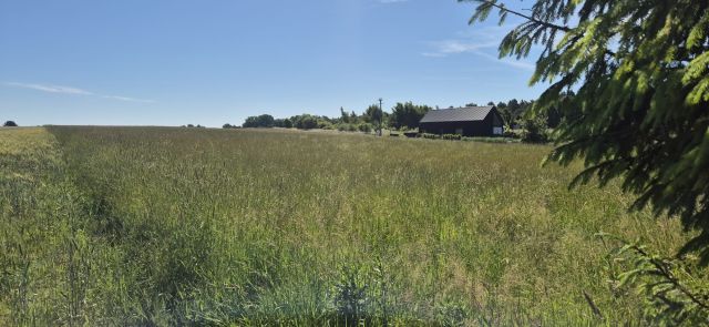 Działka rekreacyjna Sasino, ul. Stara Cegielnia. Zdjęcie 10