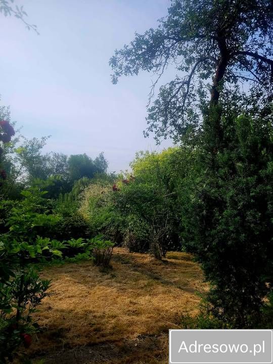 Działka rod Kraków Płaszów, ul. Nowohucka. Zdjęcie 8