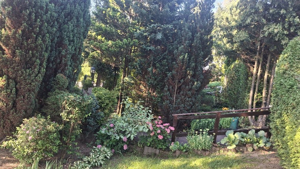 Działka budowlana Szczuka. Zdjęcie 2