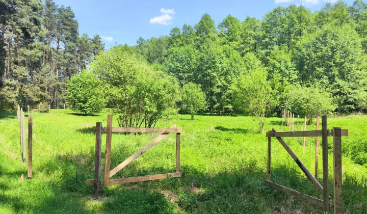 Działka rolna Lgiń
