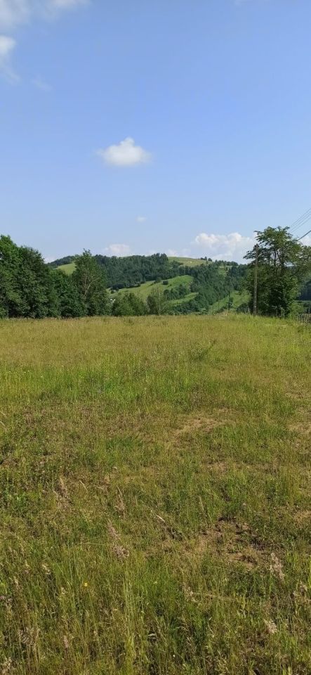 Działka rolna Wołkowyja. Zdjęcie 2