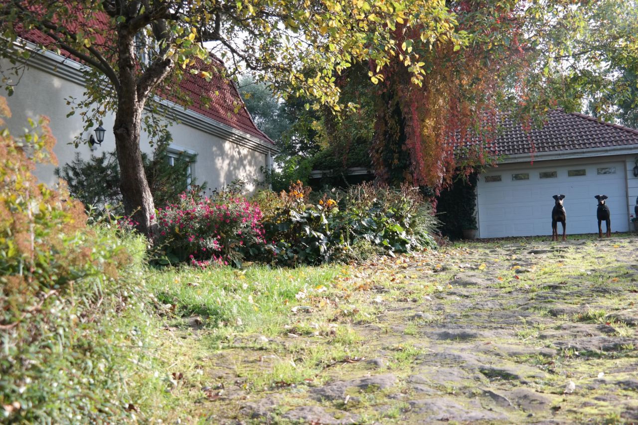 dom wolnostojący, 6 pokoi Nowe Gnatowice. Zdjęcie 38