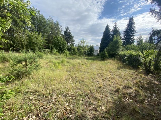 Działka rekreacyjna Piotrowo. Zdjęcie 1