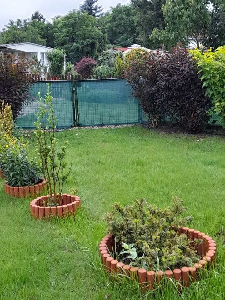 Działka rod Kruszyn Krajeński. Zdjęcie 7