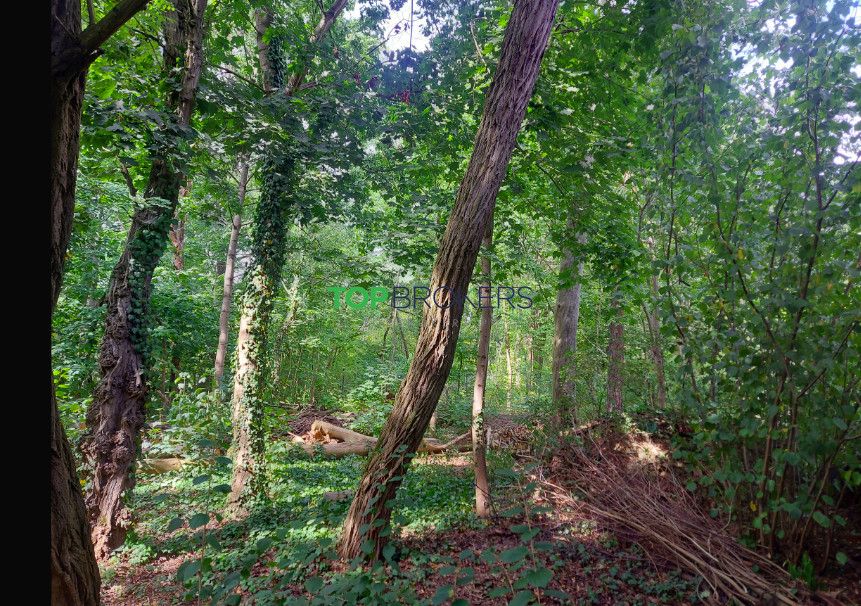 Działka budowlana Milanówek. Zdjęcie 2