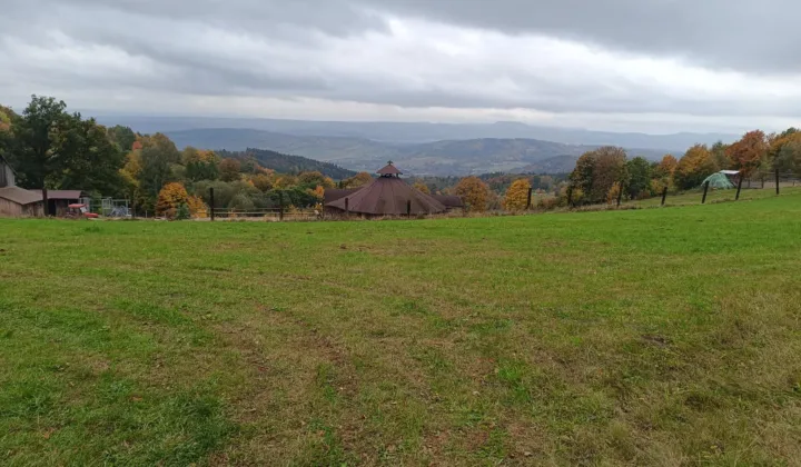 Działka rekreacyjna Nowa Ruda Góra Świętej Anny, ul. Góra Anny