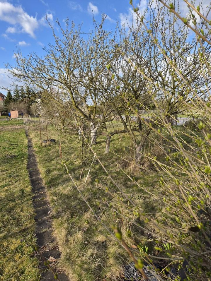 Działka rekreacyjna Wrocław Klecina, CZEKOLADOWA. Zdjęcie 8