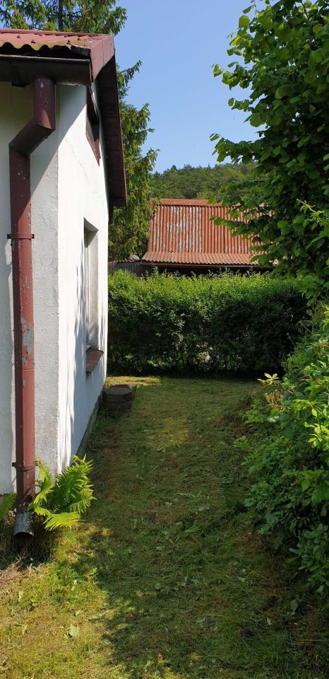 Działka rod Gdańsk Oliwa, ul. Bytowska. Zdjęcie 7