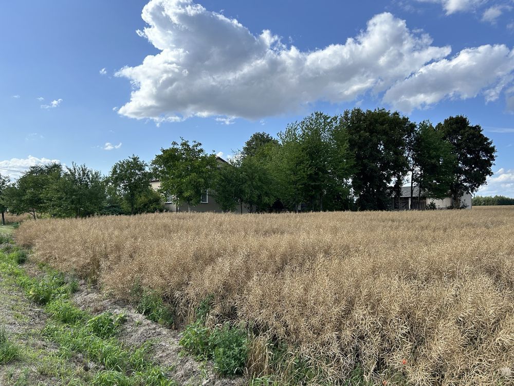Działka siedliskowa Bystrzyca Nowa. Zdjęcie 4