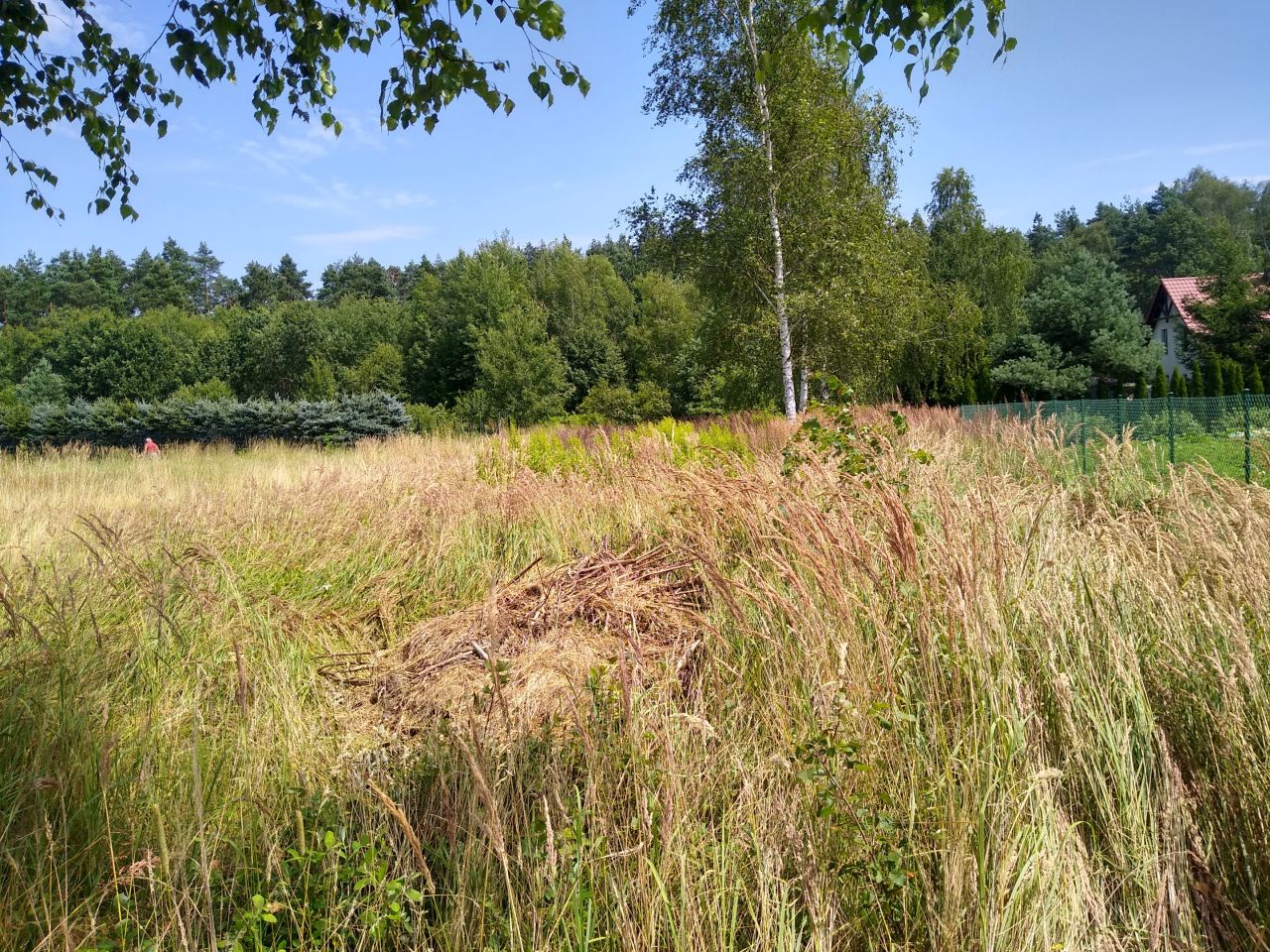 Działka budowlana Przeginia Duchowna Zagórze, ul. Szczęśliwa. Zdjęcie 2