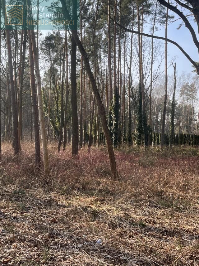 Działka budowlana Konstancin-Jeziorna. Zdjęcie 2