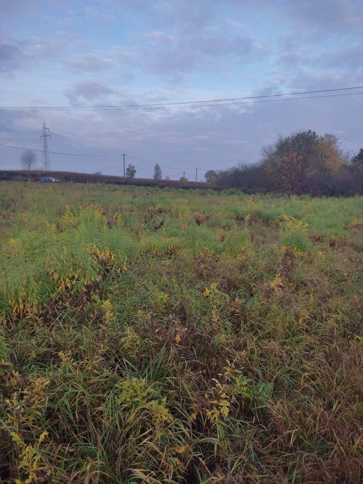 Działka rolno-budowlana Maleczewo. Zdjęcie 6