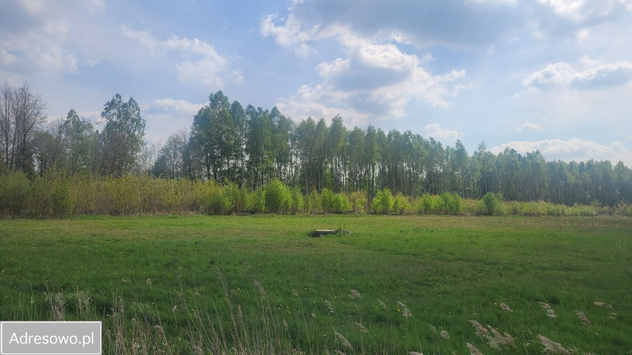 Działka inwestycyjna Dębe Wielkie. Zdjęcie 5