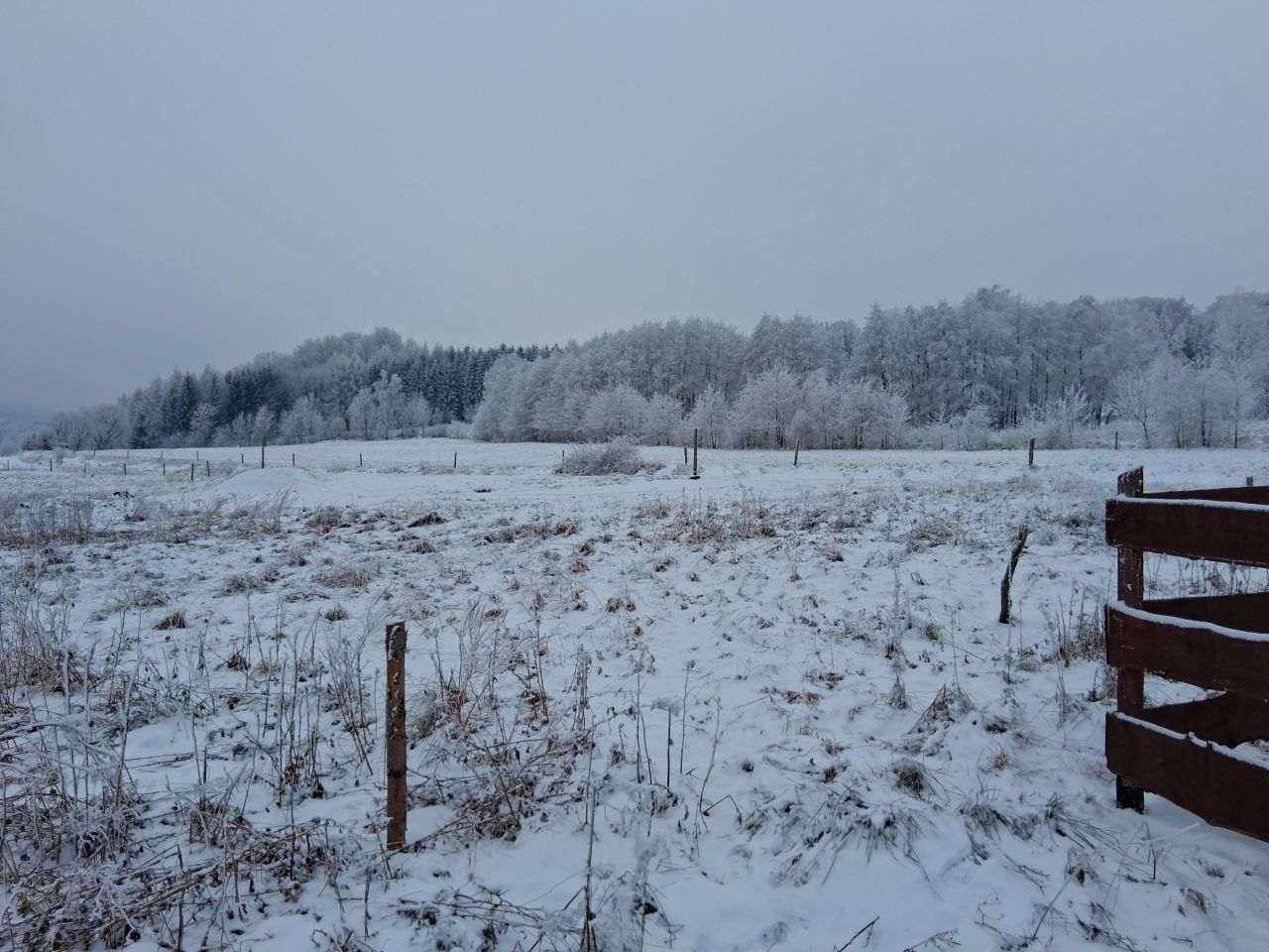 Działka budowlana Wieściszowice. Zdjęcie 6