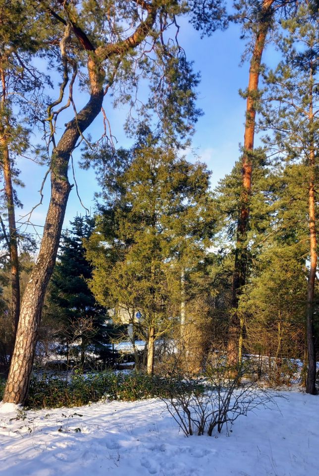 dom wolnostojący, 5 pokoi Otwock Świder, ul. Pogodna. Zdjęcie 37