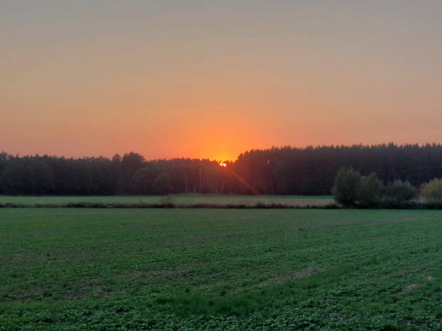 Działka rolna Chodzież, Stróżewice. Zdjęcie 1