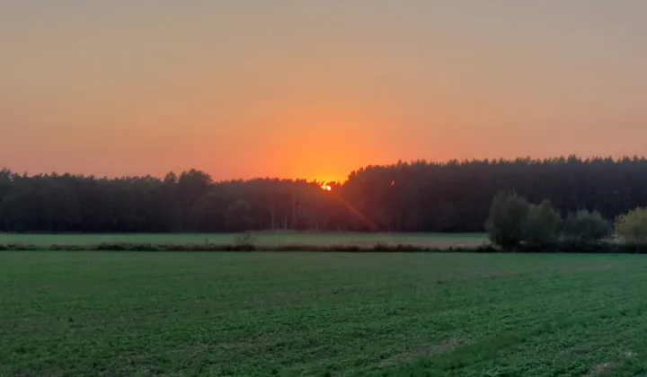 Działka rolna Chodzież