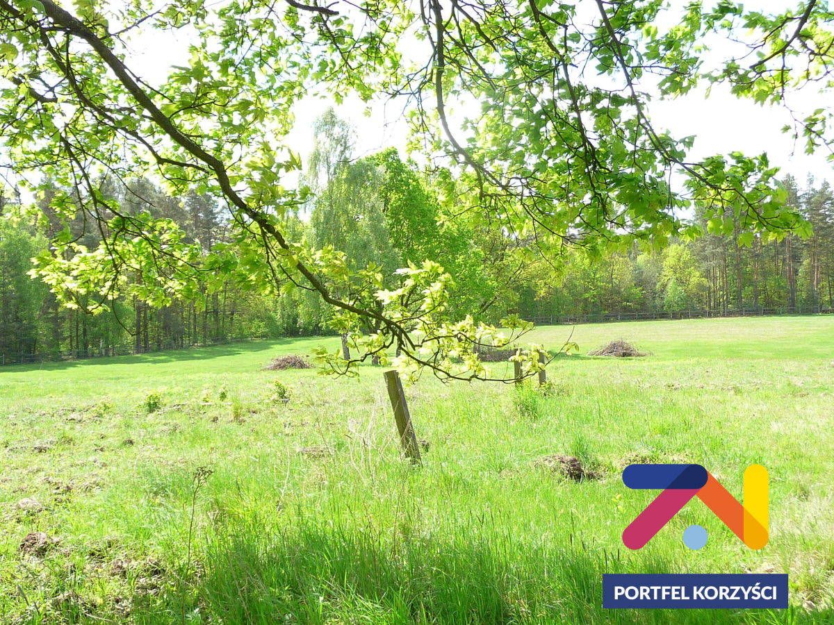 dom wolnostojący, 2 pokoje Lubsko. Zdjęcie 15