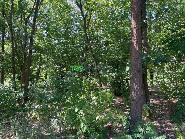 Działka budowlana Józefów. Zdjęcie 4