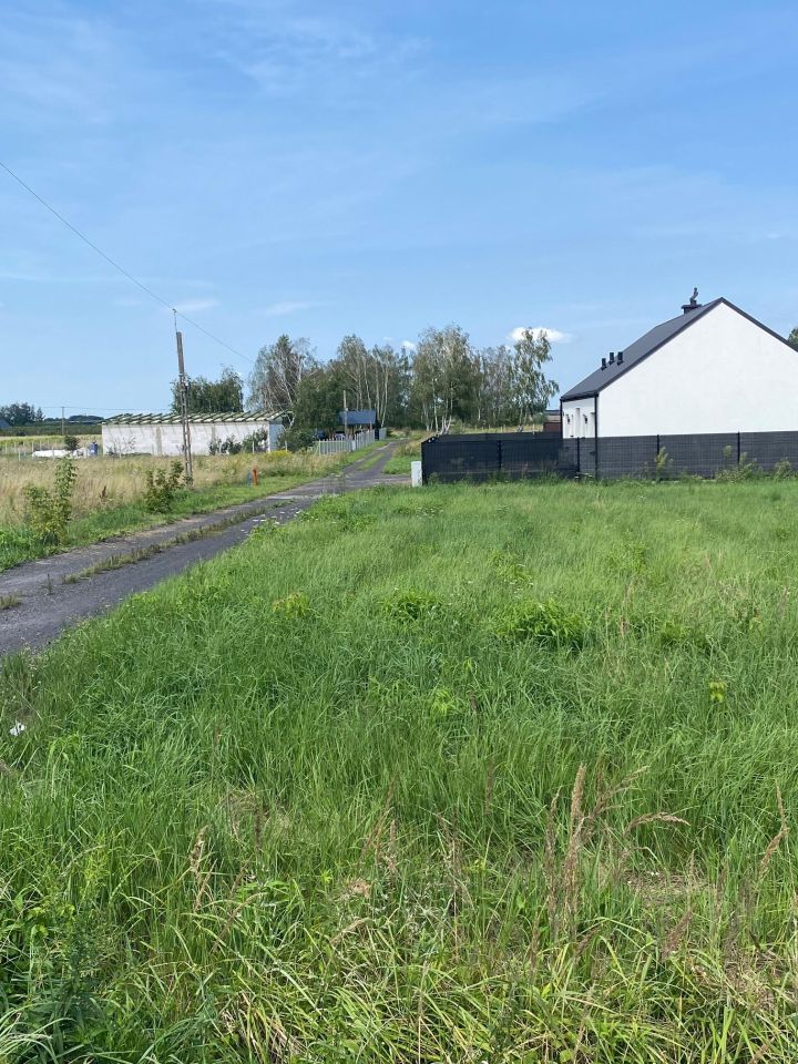 Działka rolna Falęcin. Zdjęcie 6