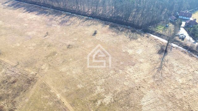 Działka rolna Wola Batorska. Zdjęcie 13