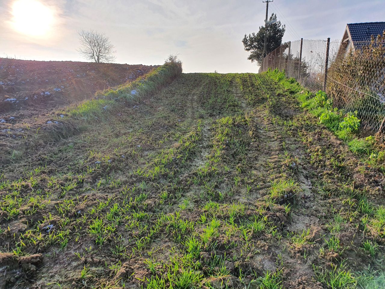 Działka budowlana Józefów-Pociecha, Pociecha. Zdjęcie 3