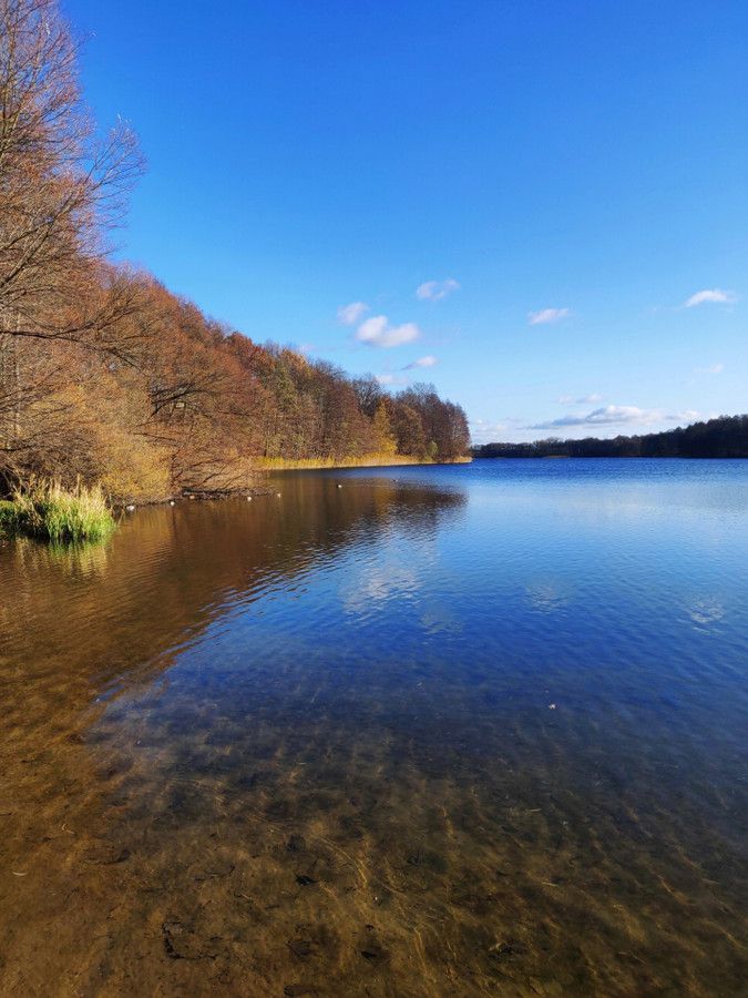 dom wolnostojący, 4 pokoje Woryty, al. Lipowa. Zdjęcie 7