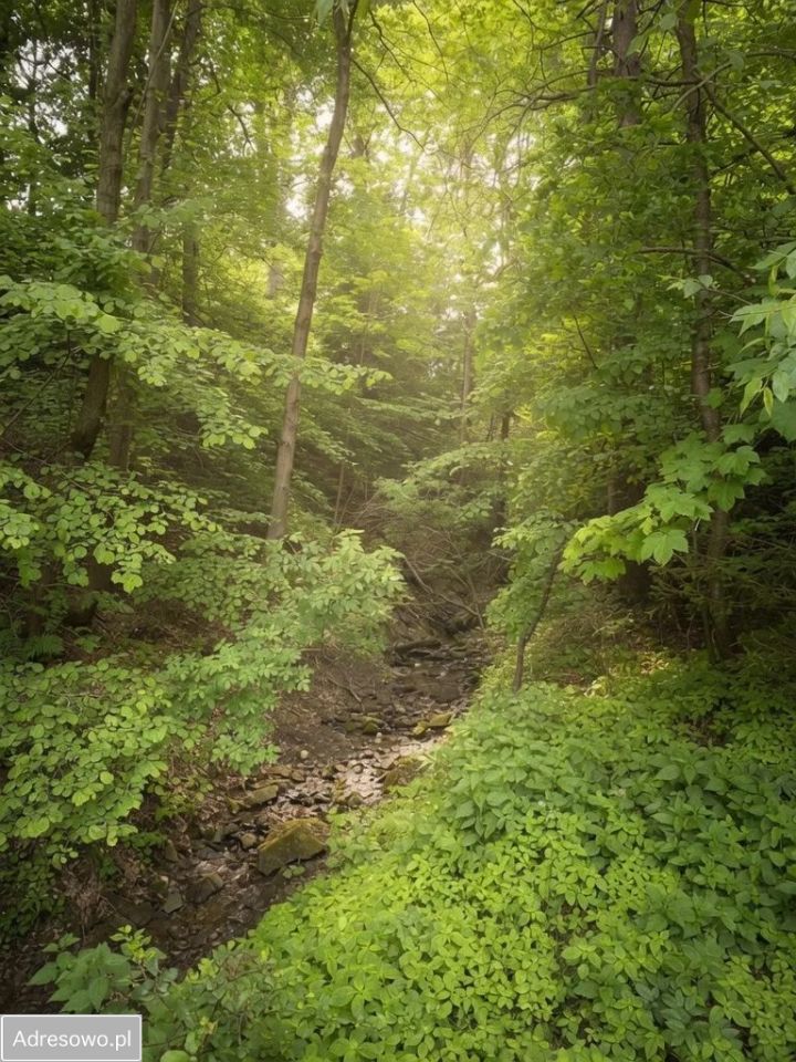 dom wolnostojący, 3 pokoje Krzeszów. Zdjęcie 4