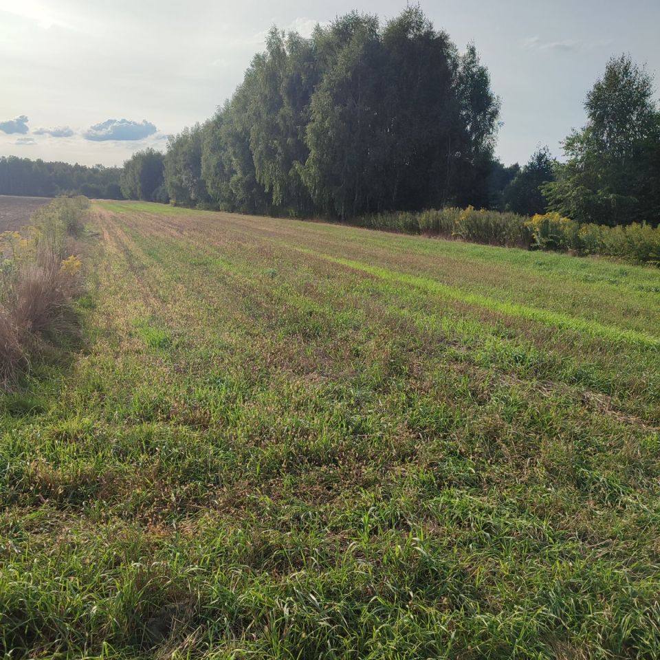 Działka rolno-budowlana Tuł, ul. Miłosza