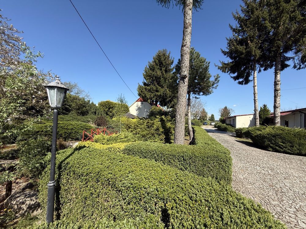 gospodarstwo Szczytnica. Zdjęcie 6