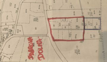 Działka rolna Dąbrowa Dolna