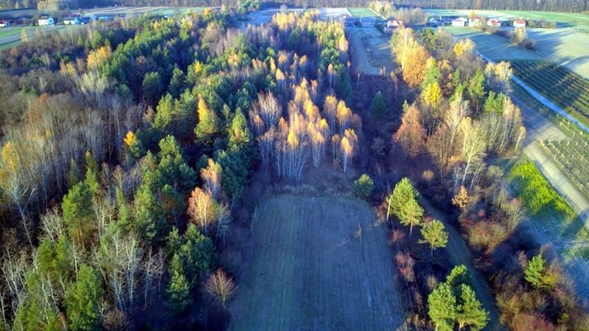 siedlisko Krzywie. Zdjęcie 10