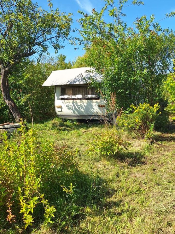 Działka rod Trzebiatów. Zdjęcie 6