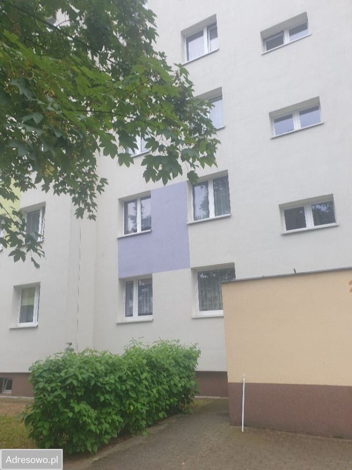 Mieszkanie 3-pokojowe Zielona Góra Centrum, ul. Aleja Wojska Polskiego