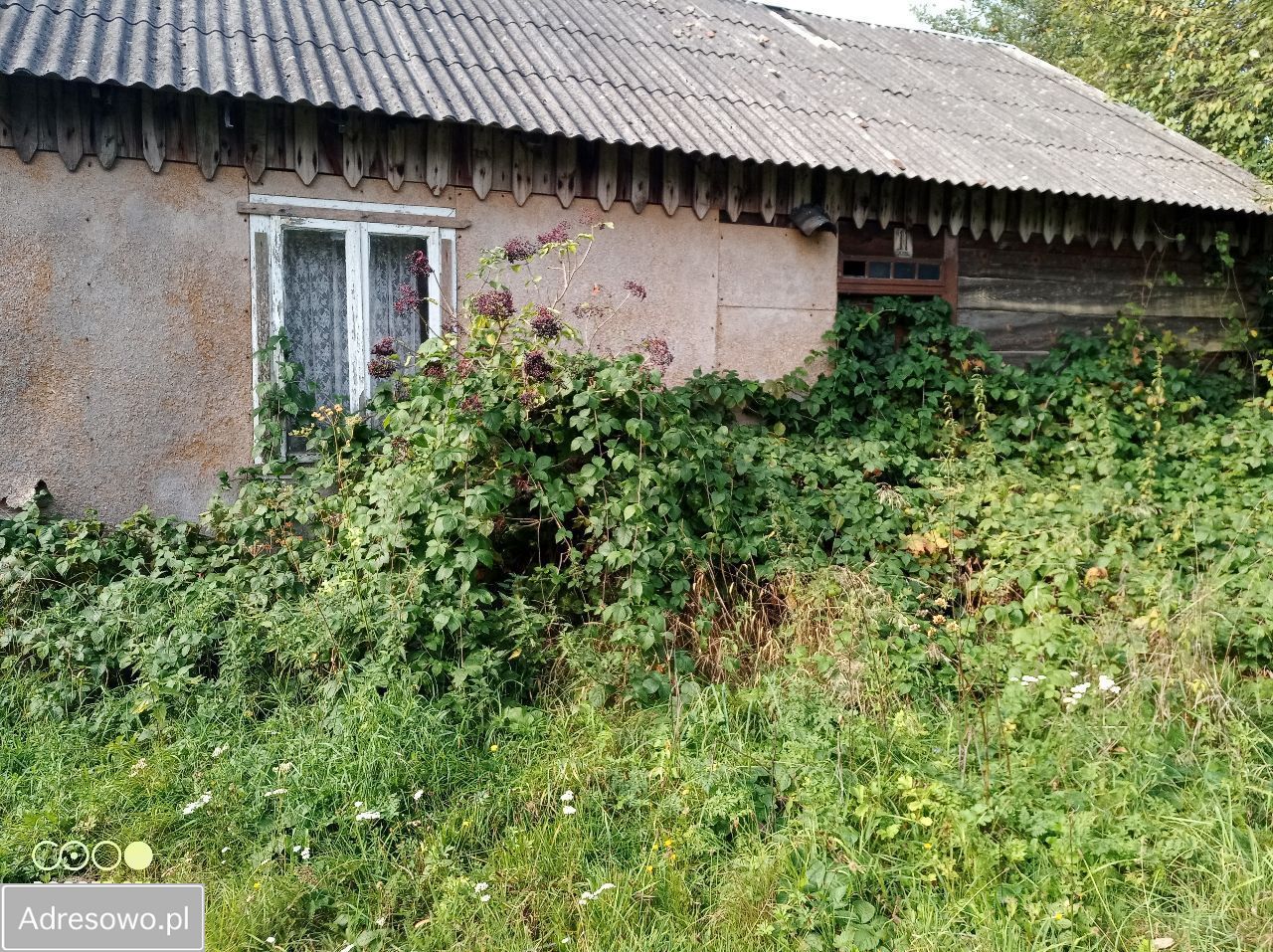 Działka budowlana Waliska. Zdjęcie 5