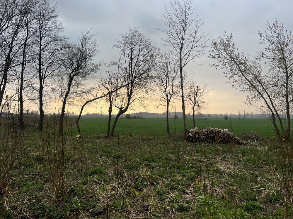 Działka budowlana Piegłowo-Wieś. Zdjęcie 6